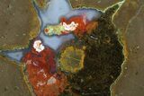 Colorful Polished Thunderegg Half - Nevada #337803-1